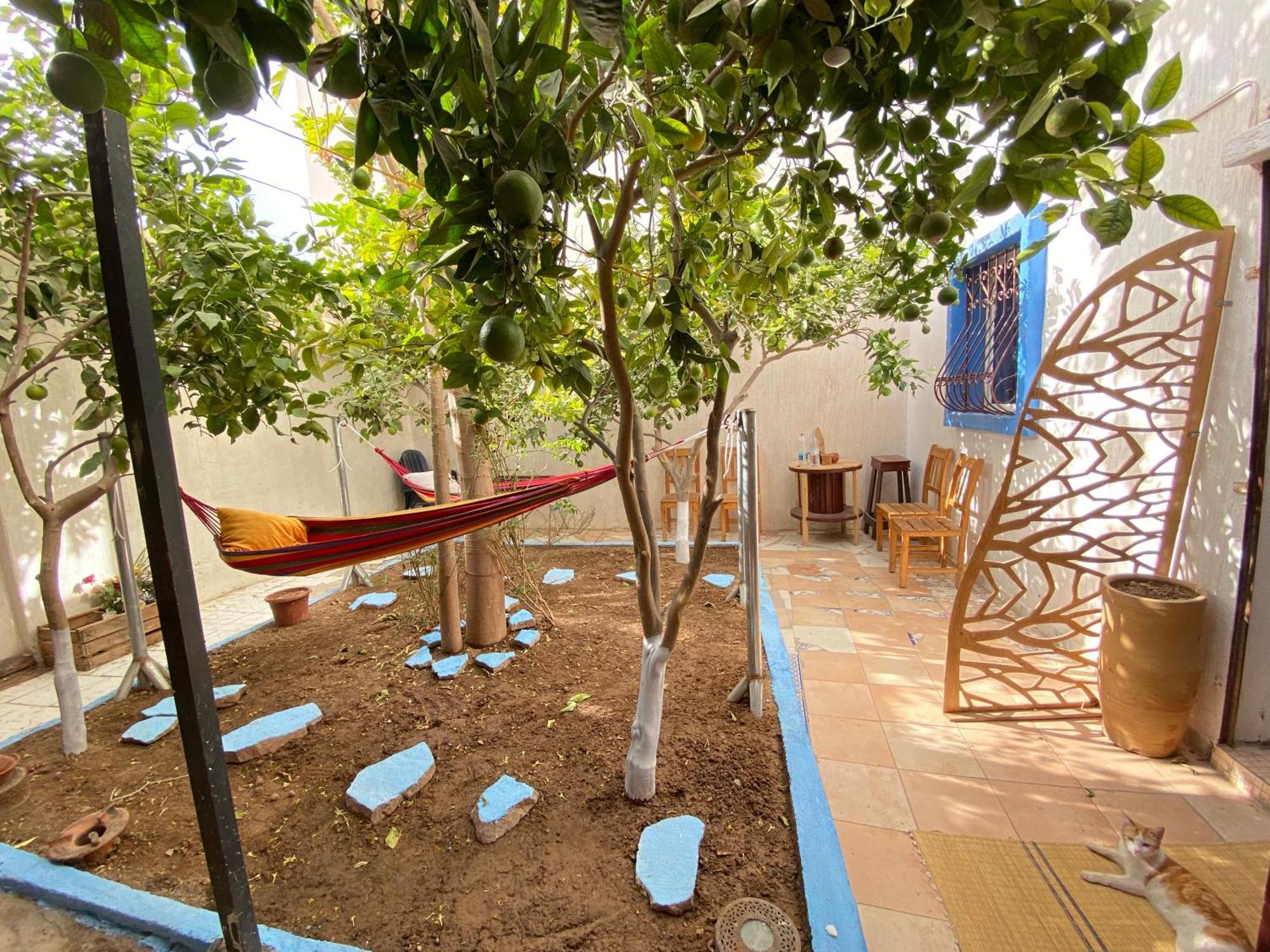Red Carpet Surf Camp Sea, Mountain & Garden Escape Otel Tamraght Dış mekan fotoğraf